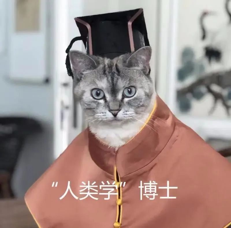 中央美院“學(xué)士服”美上熱搜！網(wǎng)友：這是什么神仙設(shè)計？