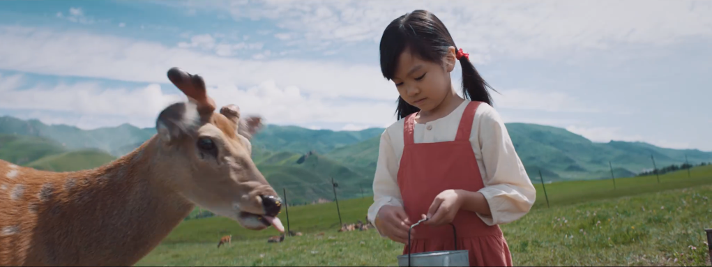 寶馬摩托車公路片《野倆的夏天》：騎士永遠(yuǎn)在路上