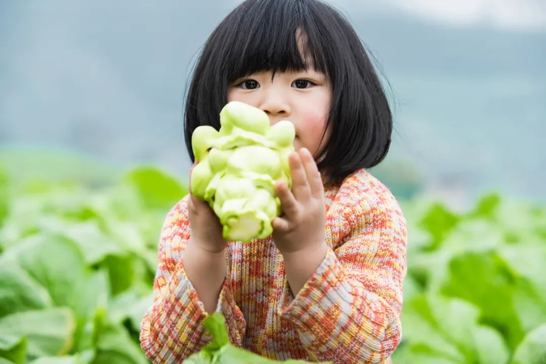 中國國家地理為《烏江》拍紀錄片，探索一包榨菜的前世今生