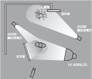 11種基礎(chǔ)打光方法，讓我們?cè)诖蚬獾牡缆飞献叩母鼒?jiān)實(shí)！